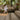 เสน่ห์แห่งความดิบเท่ แต่งบ้านสไตล์ Tropical Modern ด้วย พรมปูพื้นวัสดุธรรมชาติ