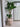 กระถางดินเผา Vase Kay D50 japanese minimal home