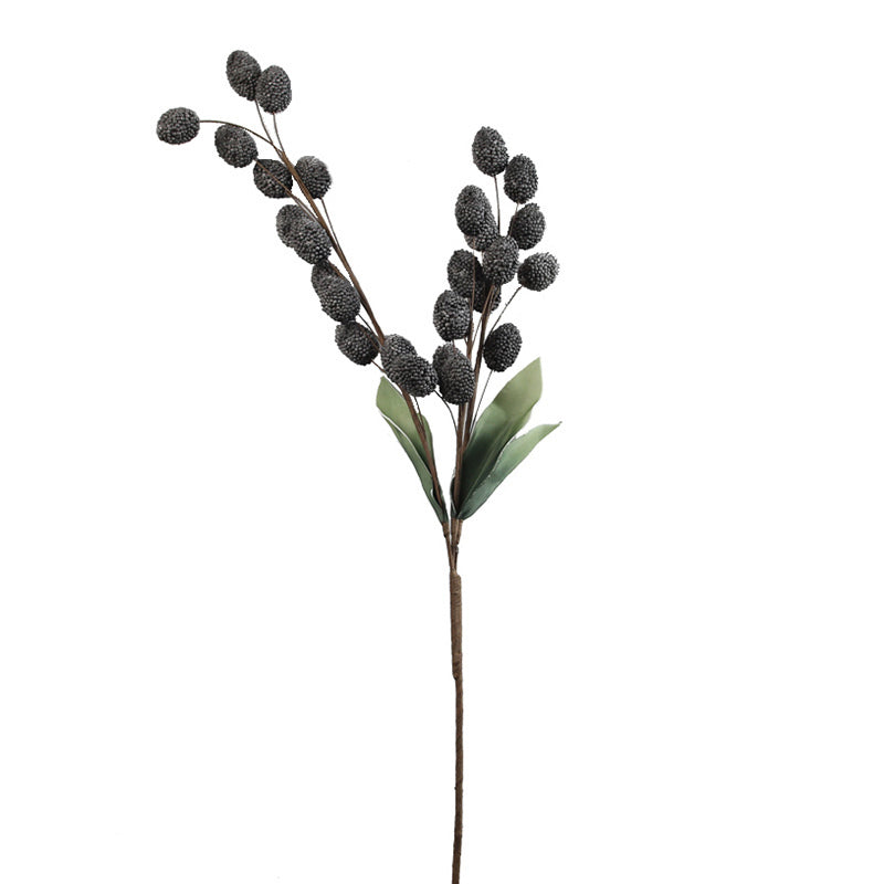 Plants Tag Lounge Lovers