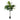 ต้นไม้ประดิษฐ์พร้อมกระถาง [SD] Fiddle Leaf 180