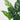 ต้นไม้ประดิษฐ์พร้อมกระถาง [SD] Monstera 80