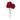 ดอกไม้ประดิษฐ์ [FW] Peony Flowers Dark Red
