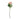 ดอกไม้ประดิษฐ์ [FW] Filler Flowers Pink & White