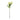ดอกไม้ประดิษฐ์ [FW] Filler Flowers White