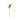 ดอกไม้ประดิษฐ์ [FW] Filler Flowers White