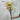 ดอกไม้ประดิษฐ์ Honey Suckle Flowers Yellow aesthetic bedroom