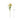 ดอกไม้ประดิษฐ์ [FW] Stone Flowers Yellow