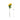 ดอกไม้ประดิษฐ์ [FW] Filler Flowers Yellow