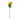 ดอกไม้ประดิษฐ์ [FW] Filler Flowers Yellow