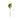ดอกไม้ประดิษฐ์ [FW] Filler Flowers Green