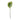 ดอกไม้ประดิษฐ์ [FW] Filler Flowers Green