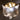 โคมไฟเพดาน [MD] Rory 13 Pendant Lamp Gold