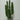 ต้นไม้ประดิษฐ์พร้อมกระถาง [NI] Cactus H70