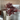 ต้นไม้ประดิษฐ์ [FL] Dried Flower Decoration G
